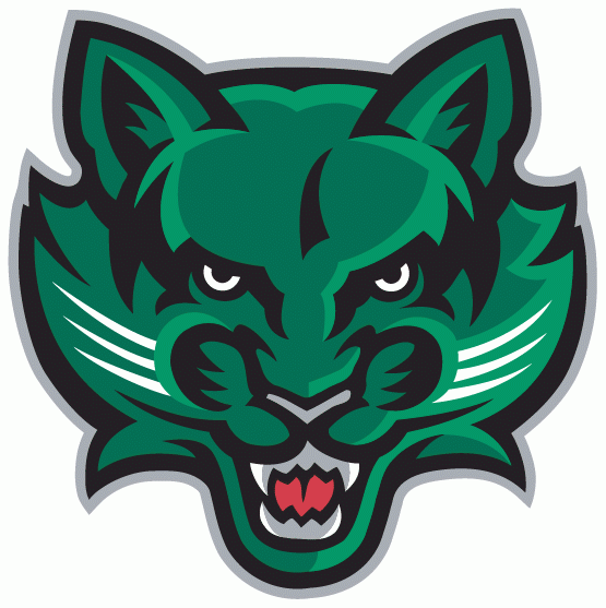 Binghamton Bearcats 2001-Pres Secondary Logo t shirts iron on transfers v2